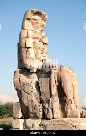 The Colossi of Memnon close to the Valley of of the Kings on the West Bank of the River Nile in Egypt Stock Photo