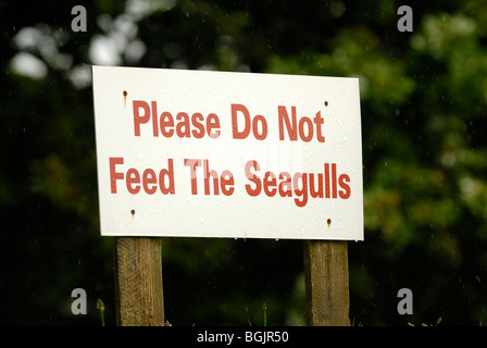 Please do not feed the Seagulls sign Stock Photo