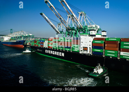Container Ships at Port of Los Angeles and World Cruise Center San ...