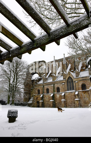 Malmesbury Abbey under snow Stock Photo