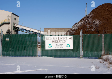 Biomass Power Station Genesee Power Station Flint Michigan USA Stock Photo