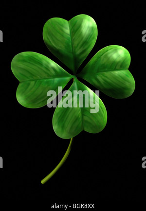 Four leafed shamrock Symbol of luck and Saint Patrick Day holiday Isolated on black background Stock Photo