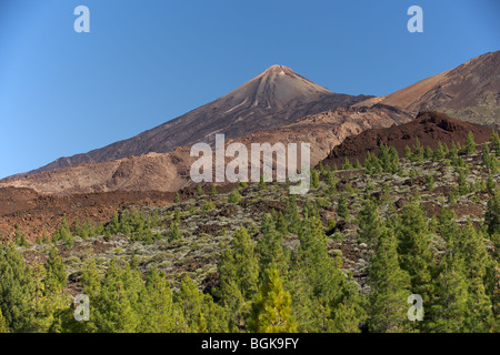 Spain Tenerife Canary Islands Mount Teide highest  banana plantations Atlantic ocean hiking sun travel holiday blue pinewood sky Stock Photo