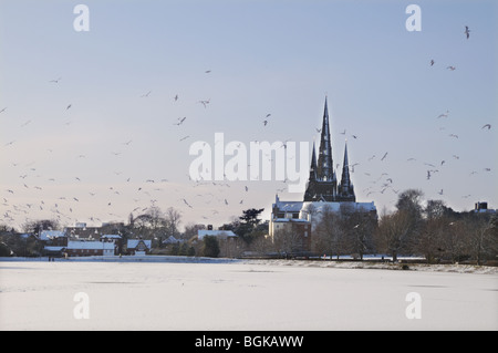 Three spires cathedral and frozen Stowe Pool with Black Headed Gulls flying on snowy winter’s day 2010 Lichfield England Stock Photo