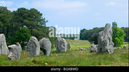 Standing stones in the Kermario alignment at Carnac, Morbihan, Brittany, France Stock Photo