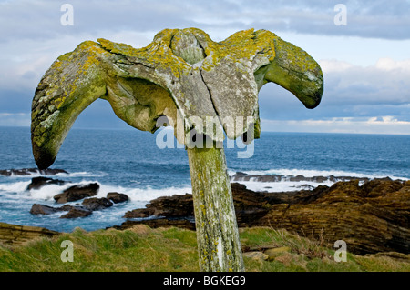 The Birsay whalebone erected on the coastal path from the remains of a beached whale c. 1876. Stock Photo