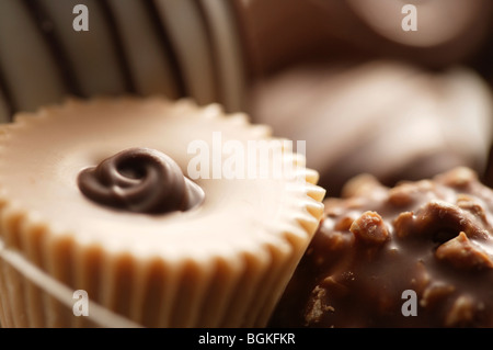 Variation of chocolates Stock Photo