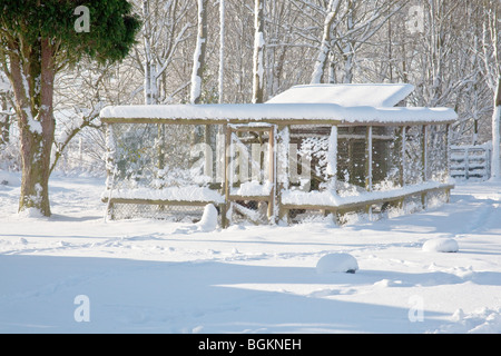 Snow covered chicken coup or hutch , Hampshire, England. Stock Photo