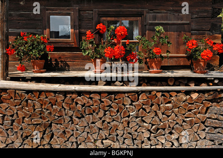 Red Geraniums (Pelargonium graveolens) and firewood stacked in front of an old farmhouse, outdoor museum, Freilichtmuseum Glent Stock Photo