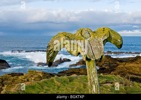 The Birsay whalebone erected on the coastal path from the remains of a beached whale c. 1876.   SCO 5870 Stock Photo