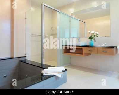 Jacuzzi tub in modern bathroom Stock Photo