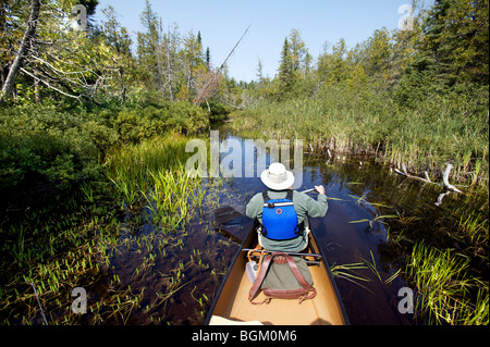 An elderly man canoes in the Superior National Forests, Boundary Waters Canoe area during a nice September day. Stock Photo