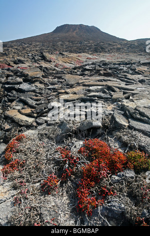 The volcanic lava rock formation Sombrero Chino / Chinaman's Hat on Santiago Island / San Salvador Island, Galápagos Islands Stock Photo