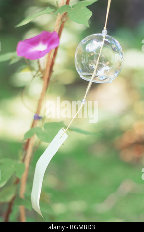 Purple morning glory and wind chime Stock Photo