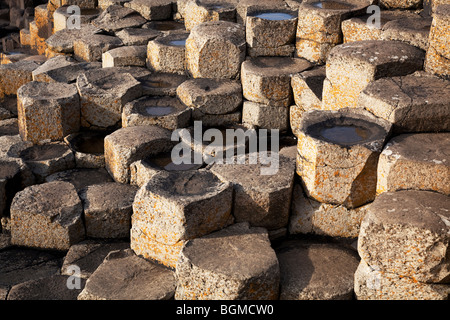 Ball and socket pentagon stones pools at Giant's Causeway Antrim Northern Ireland a natural phenomena and a world heritage site. Stock Photo