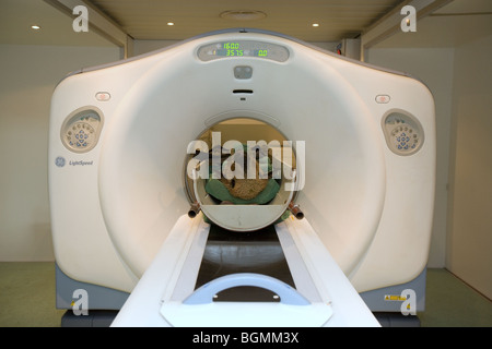 A sheep in a MRI Scanner Stock Photo