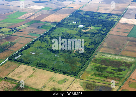 aerial view Woodwalton Fen The Great Fen Project Stock Photo