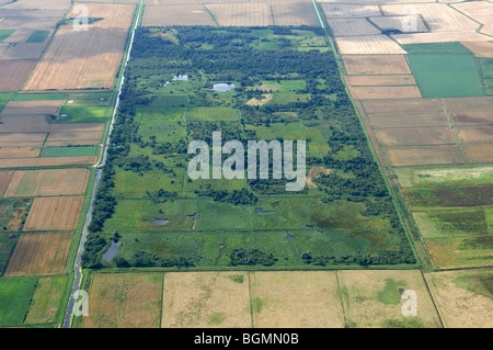 aerial view Woodwalton Fen The Great Fen Project Stock Photo