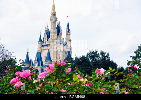 Cinderella's Castle, Disneyworld, Orlando, Florida, USA Stock Photo