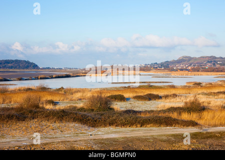 View across Conwy RSPB nature reserve coastal lagoons and grassland habitat. Llansanffraid Glan Conwy, Conwy, North Wales, UK, Britain. Stock Photo
