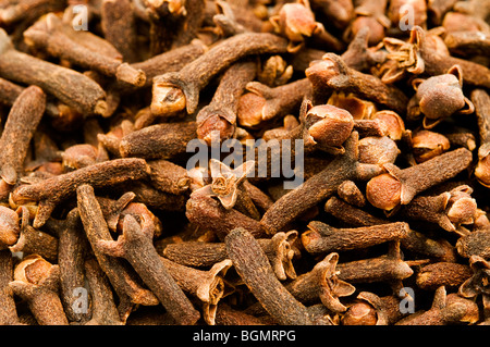 Dried cloves on a white background Stock Photo