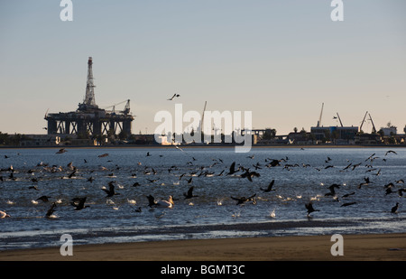 Oil rig in Walvis Bay with pelicans and flamingos in foreground. Namibia Stock Photo