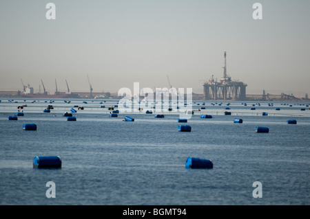Oyster farms in the Walvis Bay lagoon, Namibia Stock Photo
