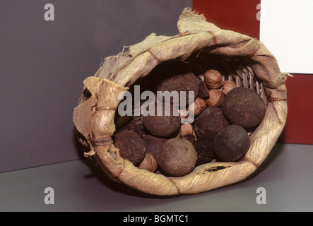 Etowah Indian Mounds State Historic museum displays intricately carved ...