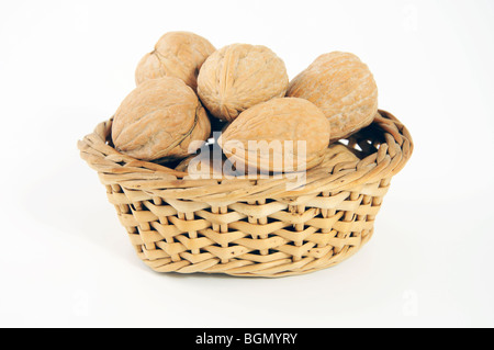 Walnuts in shells Stock Photo
