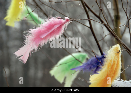 Rainy Easter. It's a Swedish tradition to decorate tree branches with colorful feathers for the Easter Holiday. Stock Photo