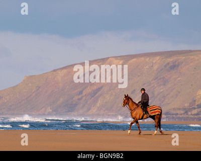 Horse and jockey on the beach, Bude, North Cornwall. Stock Photo