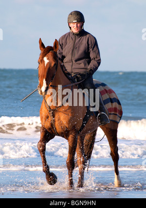 Horse and jockey on the beach, Bude, North Cornwall. Stock Photo