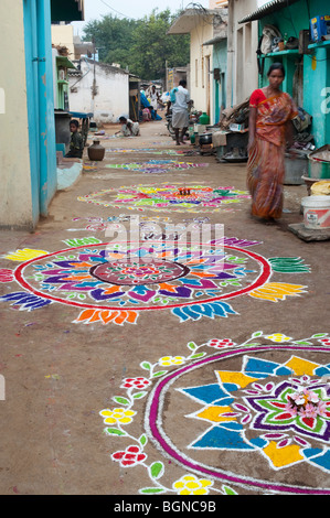 India woman making a Rangoli design in an Indian street , during the hindu festival of Sankranthi. Puttaparthi, Andhra Pradesh, India Stock Photo