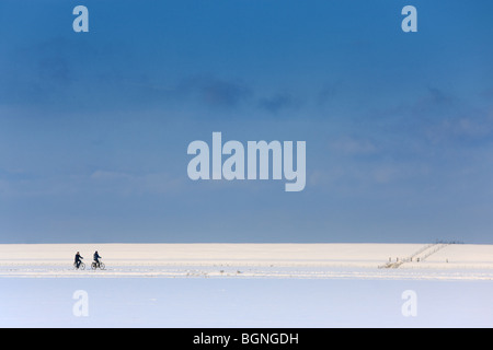 Cyclists in the Carel Coenraadpolder near Woldendorp, province Groningen, Netherlands