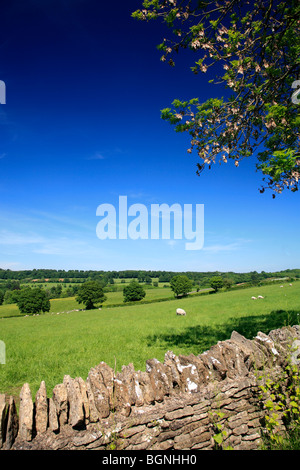 Landscape view Stone Built Cottages Naunton Village Gloucestershire Cotswolds England UK Stock Photo