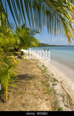 Panama Boca del Drago Starfish Beach Bocas del Toro Isla Colon Stock Photo