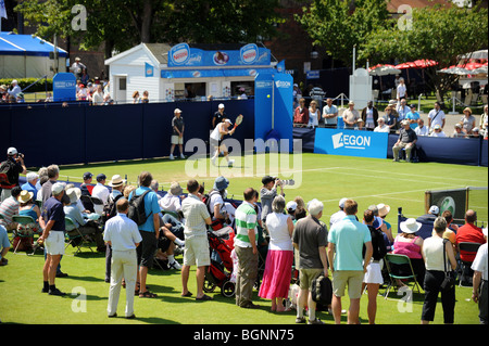 Spectators enjoying the action at the aegon international tennis championships at devonshire park eastbourne Stock Photo