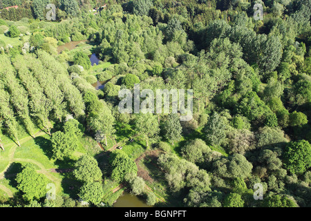 Forests and grasslands from the air, Belgium Stock Photo