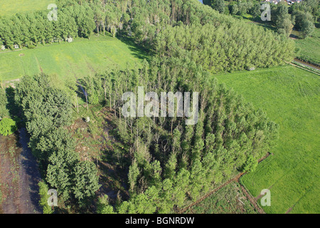 Forests and grasslands from the air, Belgium Stock Photo