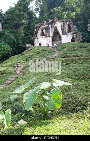 Templo de la Cruz Foliada, Foliated Cross Temple, Palenque Archaeological Site, Chiapas Mexico. Stock Photo