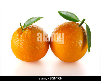 Whole fresh oranges  with leaves on a white background as a cut out Stock Photo