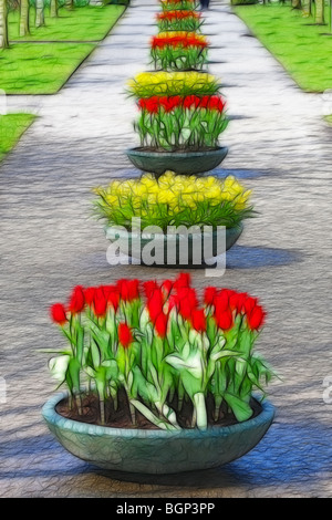 Photo illustration:  Displays of tulips in flower tubs Stock Photo