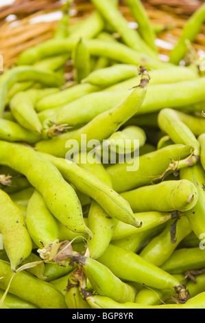 Broad bean close up Stock Photo