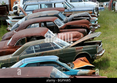 Classic cars rust in peace in an American country junk yard Stock Photo ...