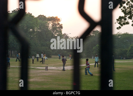 Children playing cricket in a park at dusk, Delhi, India Stock Photo