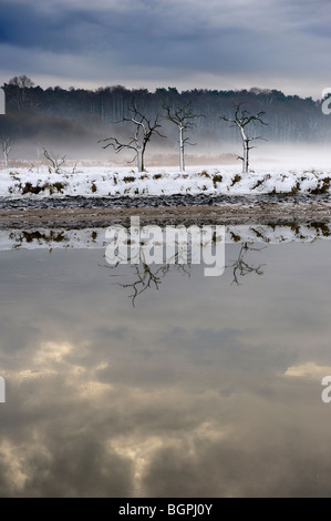 Winter snow Suffolk landscape River Deben Woodbridge Melton Suffolk UK Stock Photo