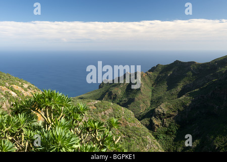 View from the Anaga Mountains, tenerife, Canary Islands, Spain Stock Photo