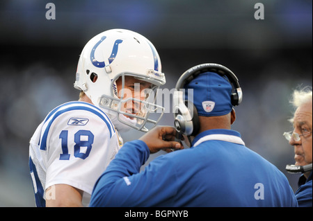 Baltimore colts hi-res stock photography and images - Alamy