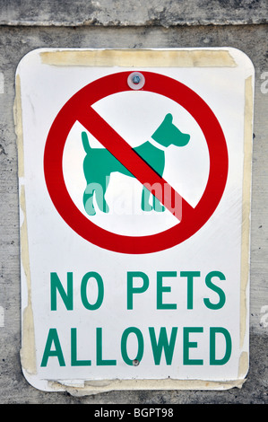 'No pets allowed' sign Stock Photo