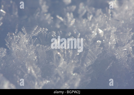Macro close up of snow flakes Stock Photo